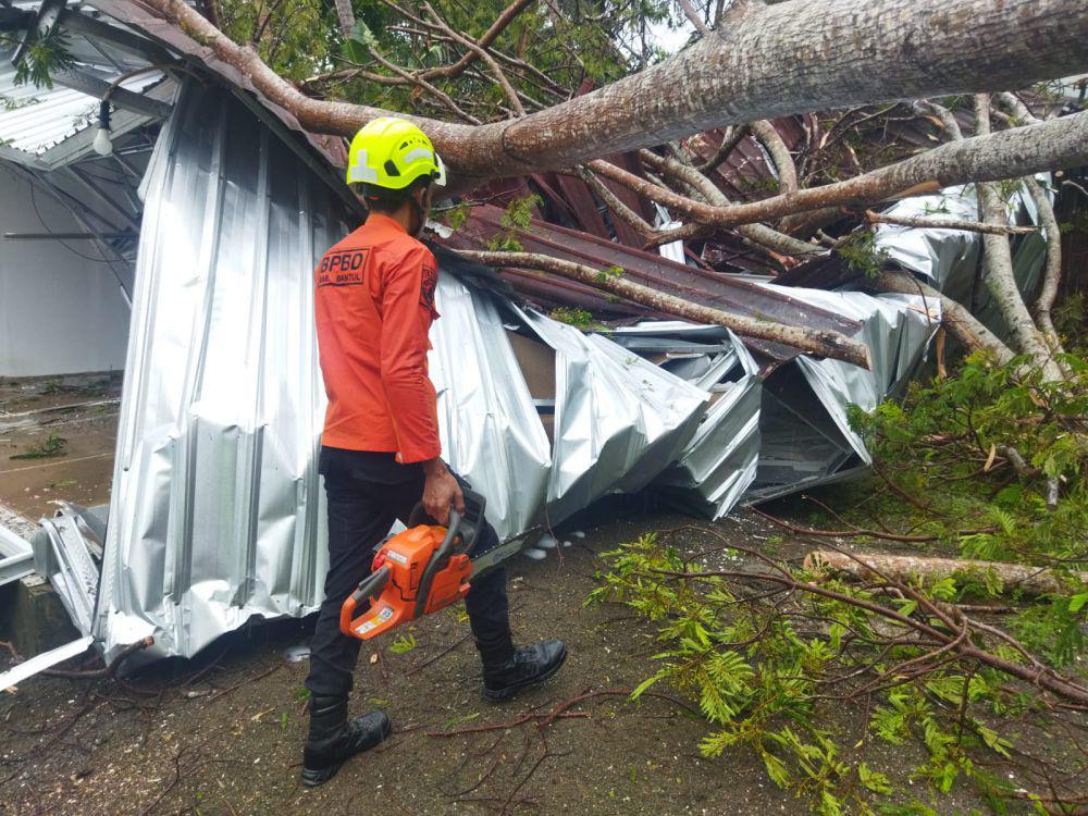 Hujan Angin, Pohon Tumbang Timpa Studio Foto di Pundong Bantul