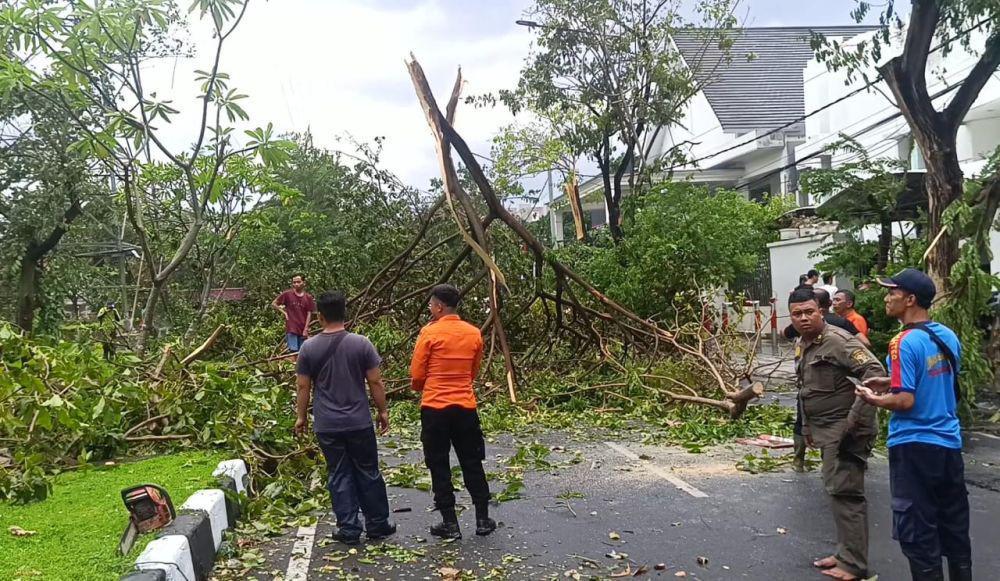 Cuaca Ekstrim di Surabaya, Pohon Tumbang hingga Mobil Masuk Sungai
