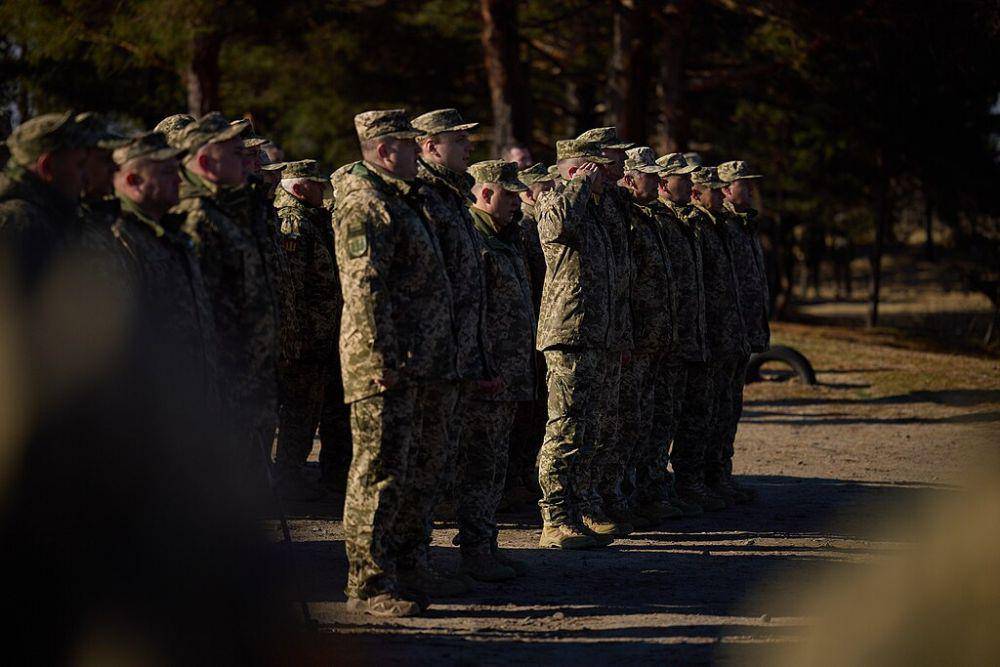Tentara Ukraina (commons.wikimedia.org/President Of Ukraine)