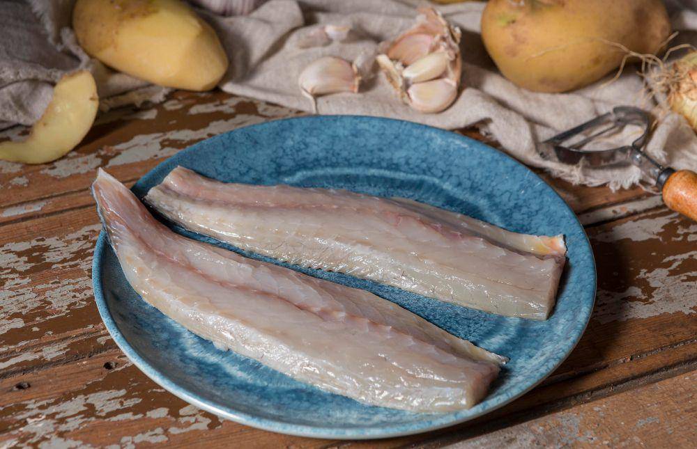 ilustrasi ikan fillet (freepik.com/freepik)