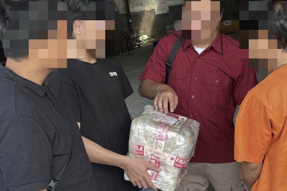 BNN Gagalkan Pengiriman Ganja 5,76 Kilogram dari Medan-Bali