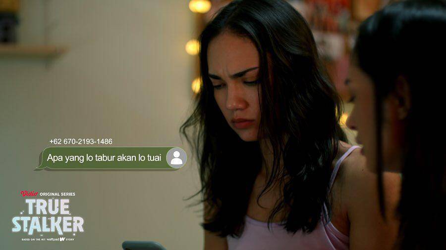 True Stalker (dok. Vidio / True Stalker)