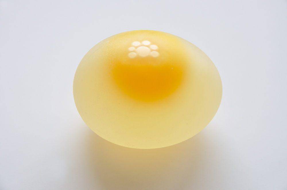 Telur ayam (commons.wikimedia.org/Biswarup Ganguly)