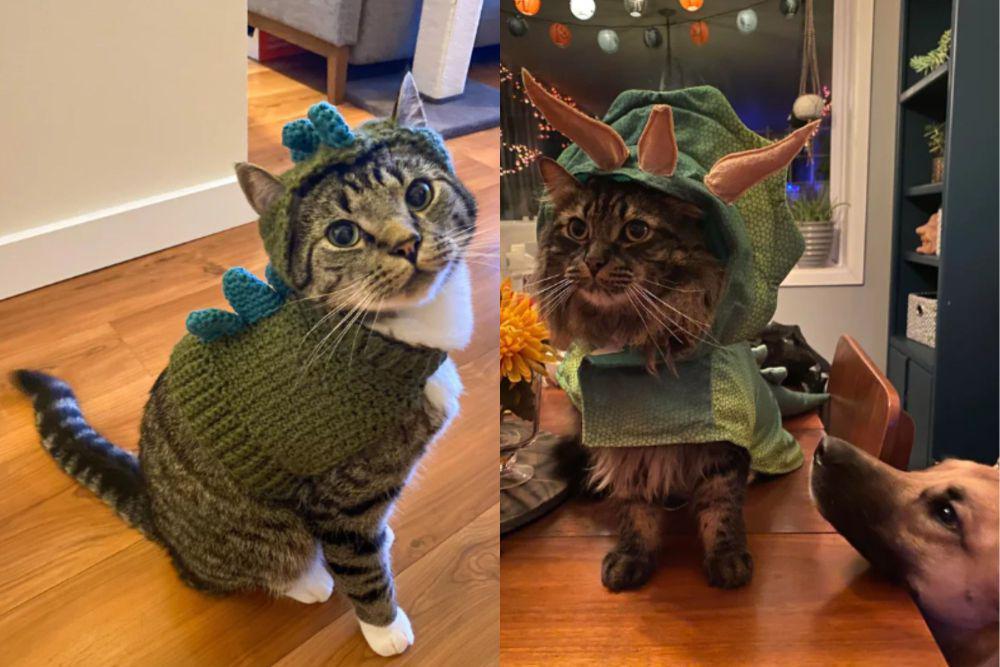 7 Foto Lucu Kucing Mujair Pakai Kostum Dinosaurus Hijau, Rawr!