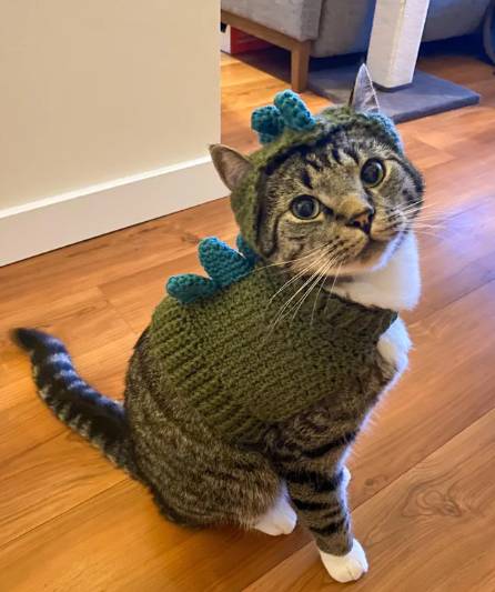 foto lucu kucing mujair pakai kostum dino hijau (reddit.com/nekoamii)