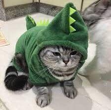 foto lucu kucing mujair pakai kostum dino hijau (reddit.com/uknovat)