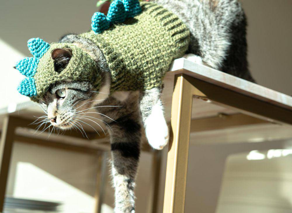 foto lucu kucing mujair pakai kostum dino hijau (reddit.com/nekoamii)