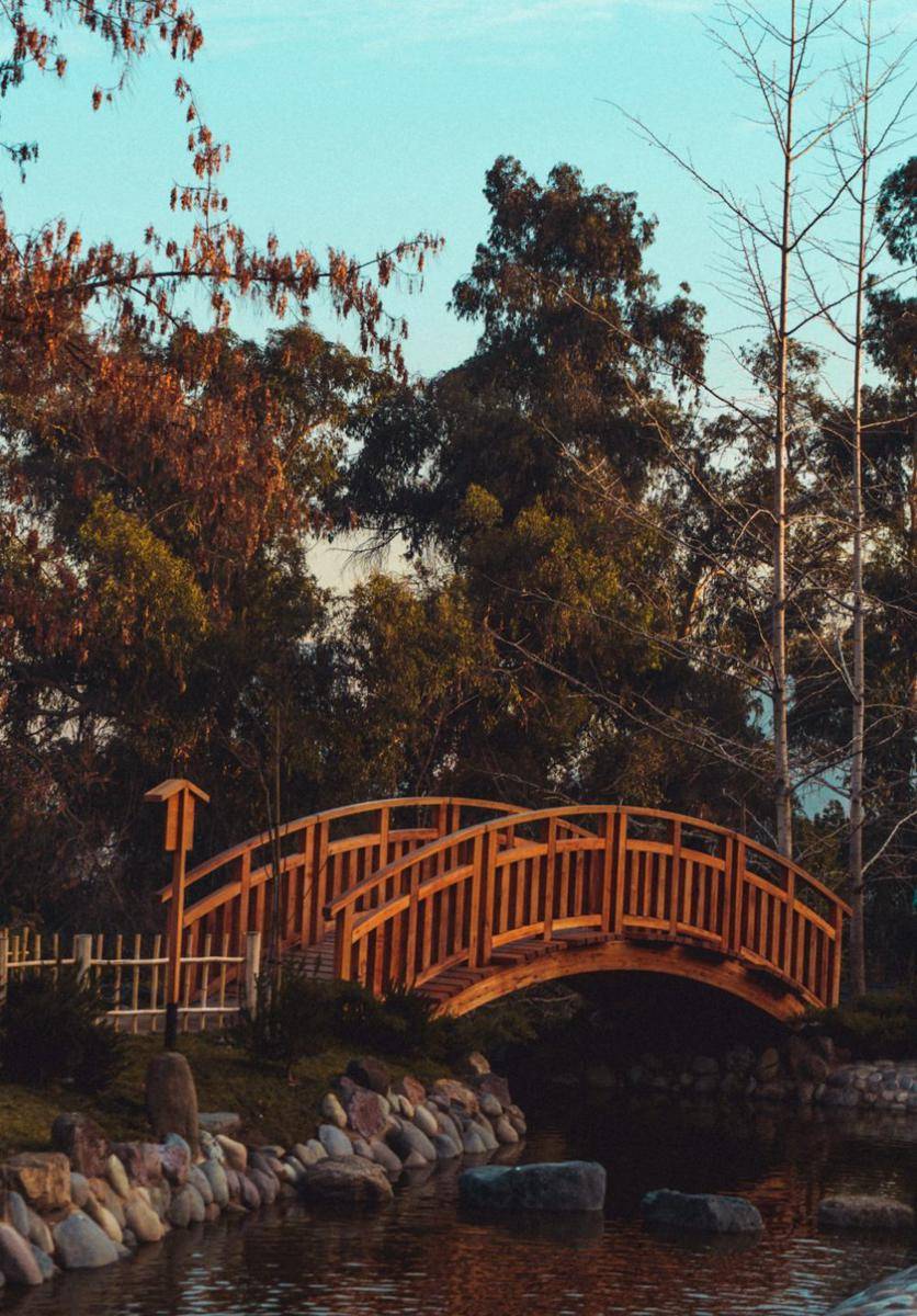 ilustrasi jembatan kayu (unsplash.com/Luis Villasmil)