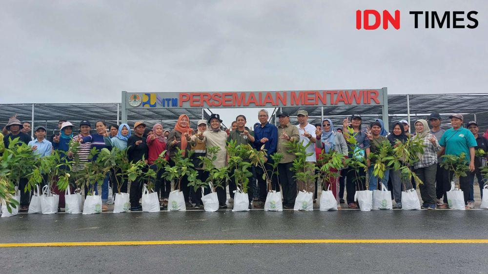 Menteri Kehutanan Tinjau Persemaian Mentawir dan Bagikan 1.250 Bibit