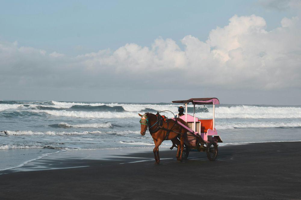Januari-November 2024, Bantul Dikunjungi 2,1 Juta Wisatawan