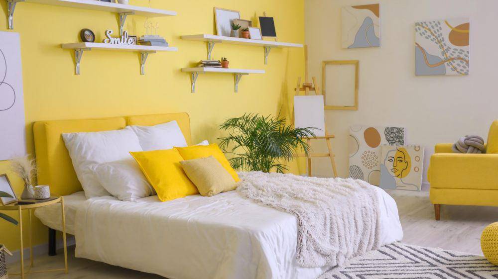 Cat kuning (hommes.studio.com)