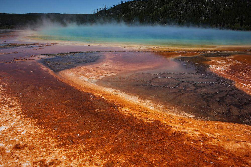 ekstremofil tumbuh subur di lingkungan ekstrem dengan asam mendidih (commons.wikimedia.org/Steve Jurvetson)