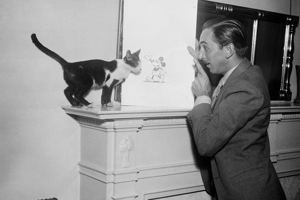 Walt Disney mengunjukan gambar Mickey Mouse ke kucing (commons.wikimedia.org/Harris and Ewing)