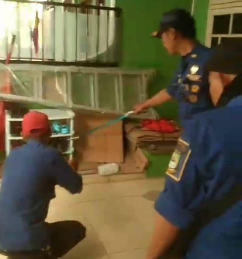 Damkar Kota Tangerang Evakuasi Ular Kobra dari Rumah Warga Ciledug