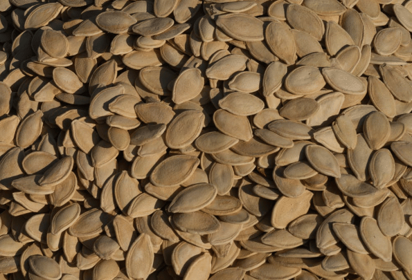 ilustrasi biji labu (pexels.com/enginakyurt)