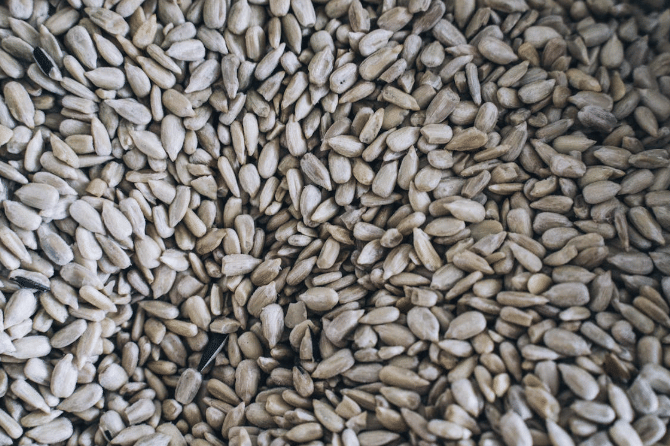 ilustrasi biji labu (pexels.com/anntarazevich)