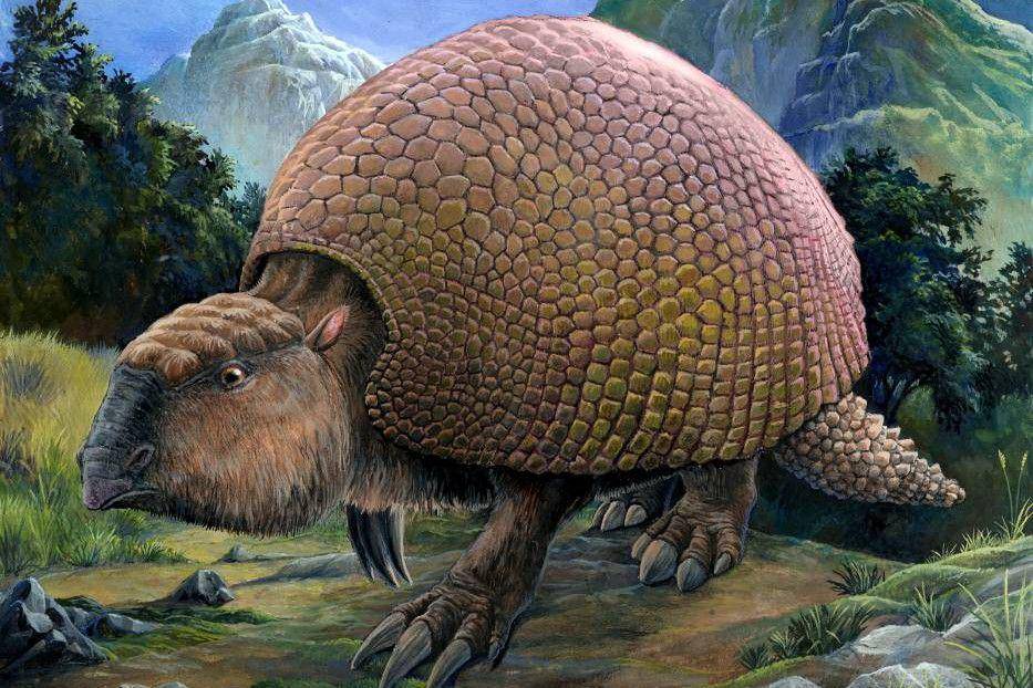 Glyptodon (commons.wikimedia.org/Pavel.Riha.CB)