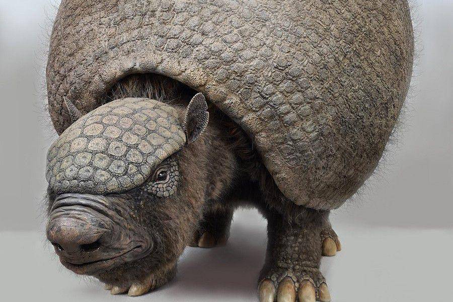Glyptodon (commons.wikimedia.org/Jaaproosart)