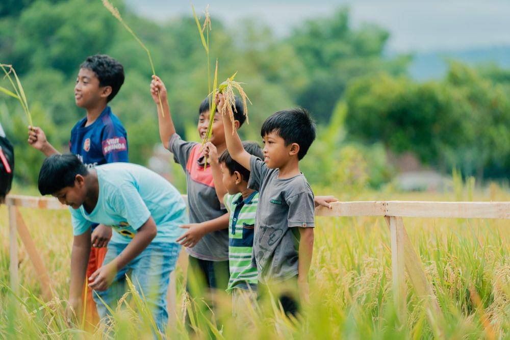 Rabu Biru Foundation (RBF) dan Holding BUMN sektor aviasi dan pariwisata PT Aviasi Pariwisata Indonesia (Persero) atau InJourney Group melakukan kolaborasi untuk mempraktikkan pertanian berkelanjutan di Dusun Morobangun yang terletak di sekitar Candi Prambanan, Yogyakarta, pada Minggu (1/12). (Dok. InJourney)