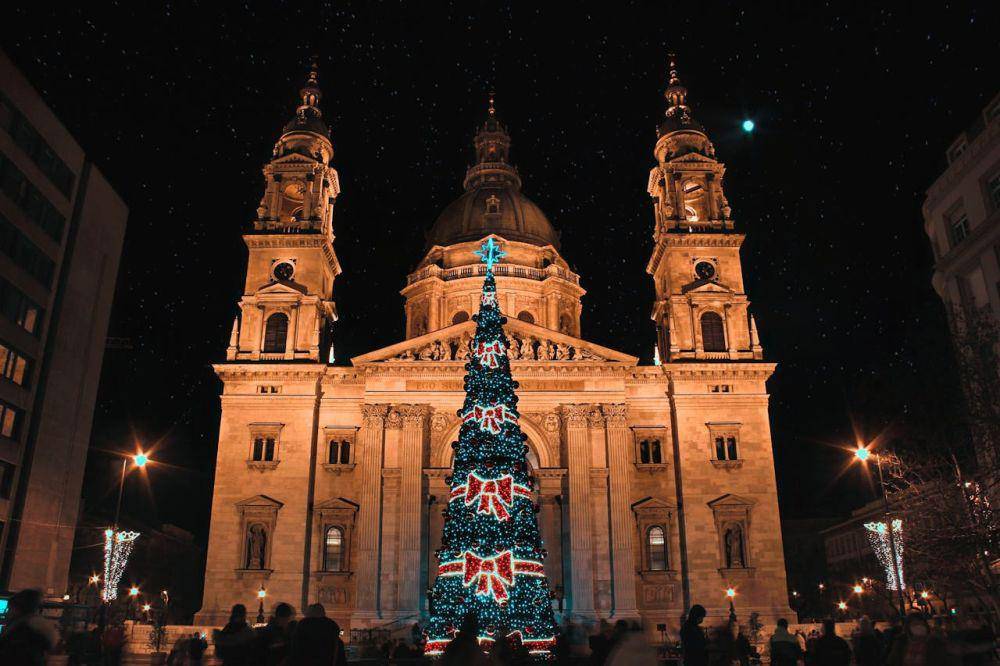 Ilustrasi pohon Natal (pexels.com/Bojána Noémi Molnár)