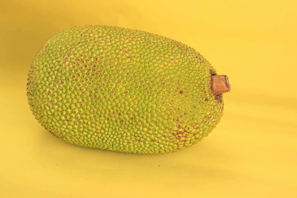 ilustrasi nangka (pexels.com/球 王求)