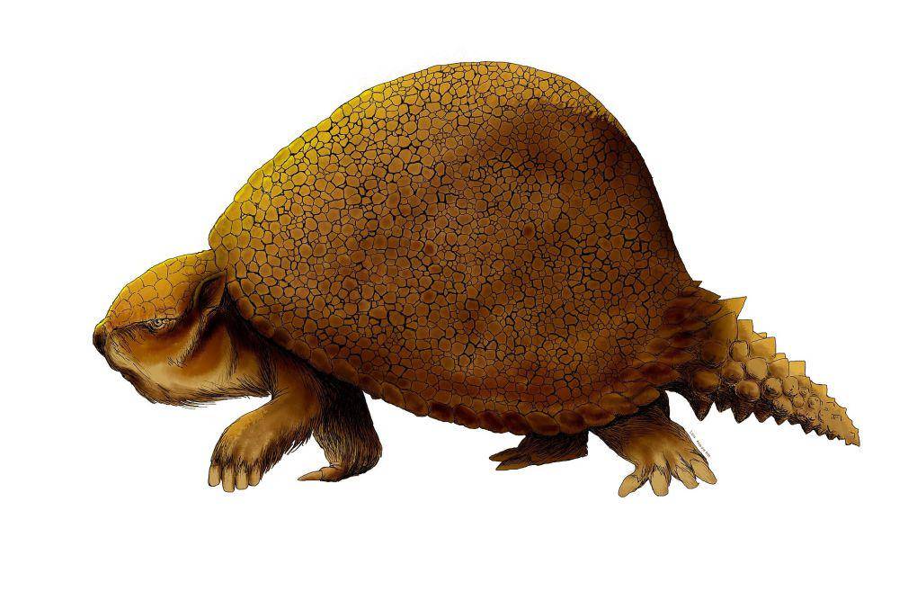 ilustrasi glyptodon (commons.wikimedia.org/Luca Mendieta)