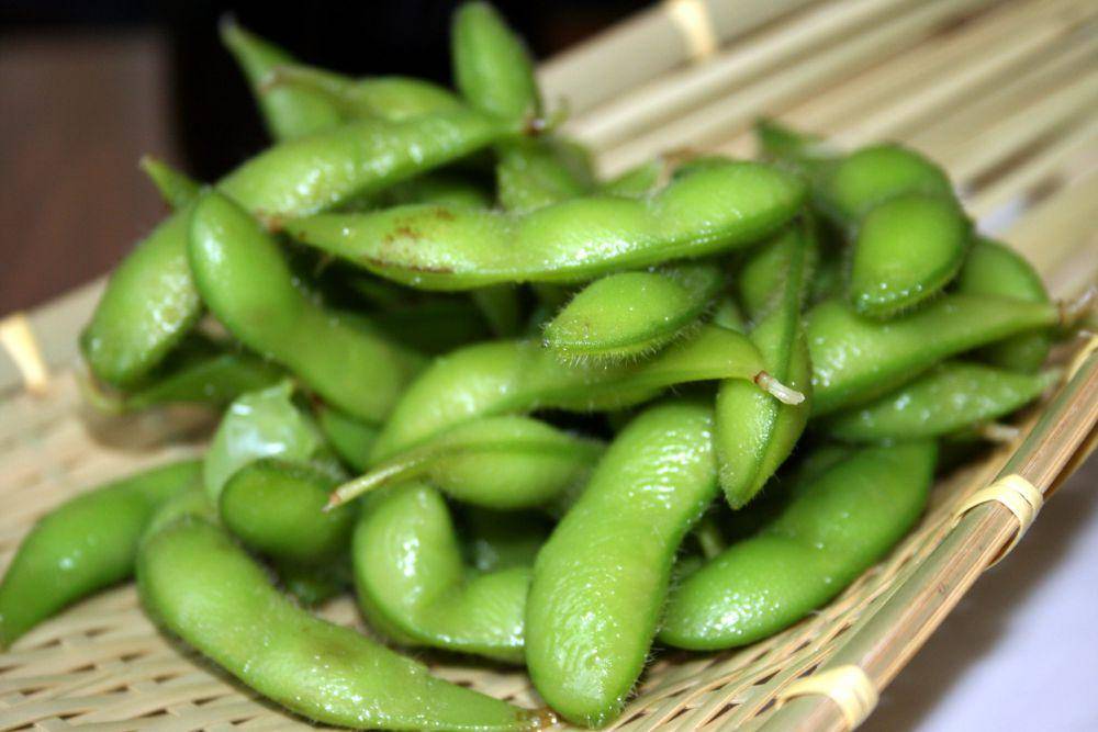 Edamame (commons.wikimedia.org/Tammy Green (aka Zesmerelda)