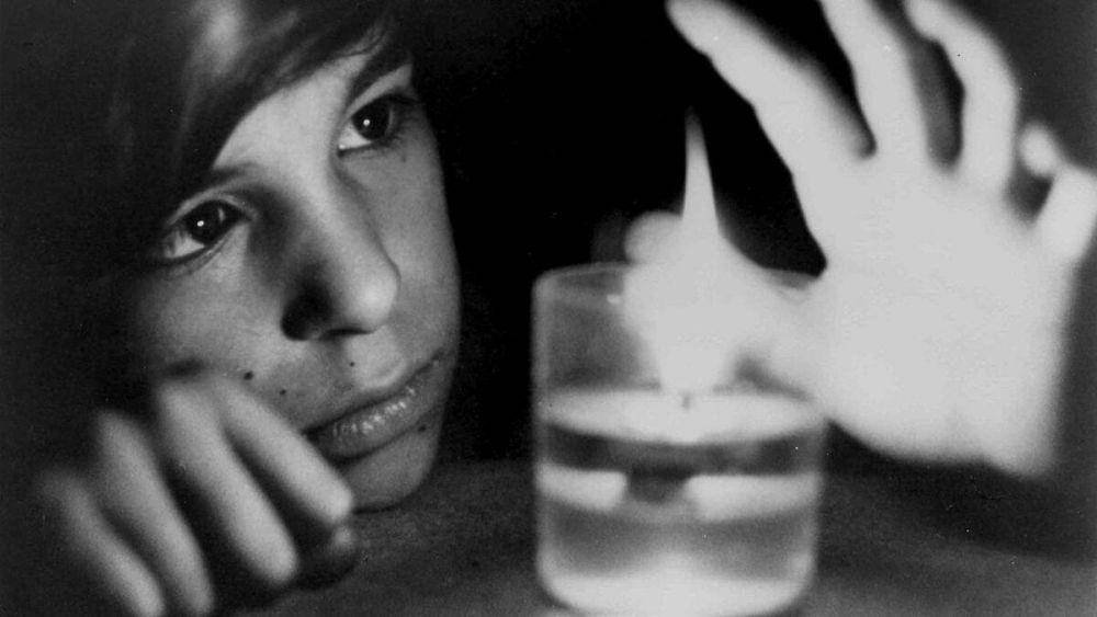 The Wild Child (dok. Les Films du Carrosse/The Wild Child)