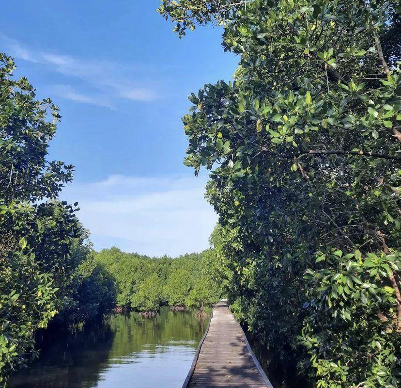 Bontang Mangrove Park (instagram.com/megaselviana22)