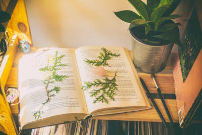 6 Novel Metropop Romantis, Best Seller dan Dijadikan Film
