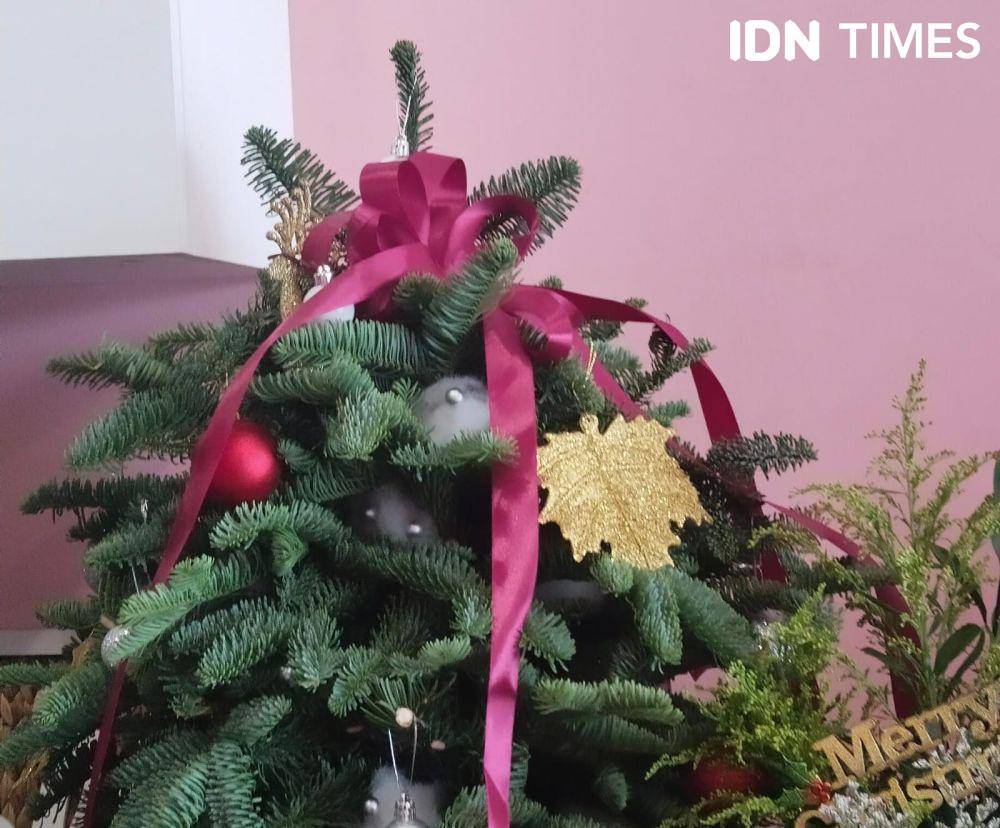 Bisnis Florist Palembang Banjir Orderan Pinus Segar Impor Jelang Natal (IDN Times/Feny Maulia Agustin)