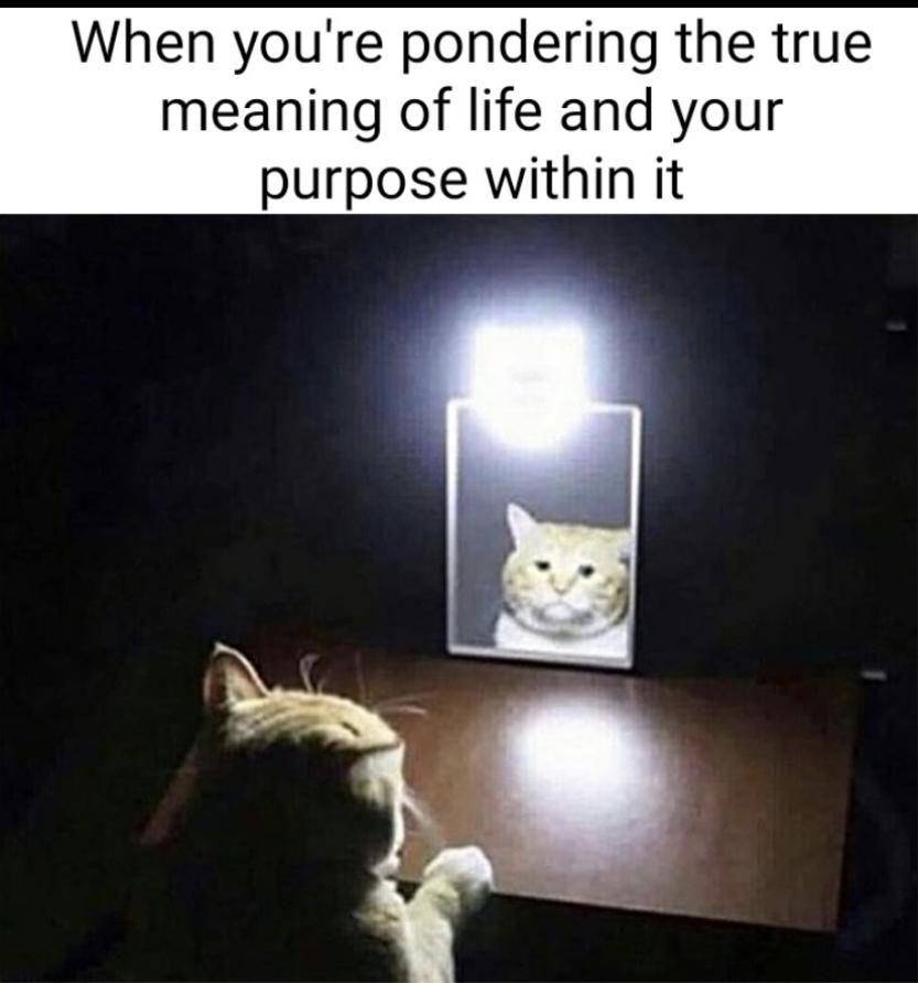meme arti dan tujuan hidup (reddit.com/deleted)