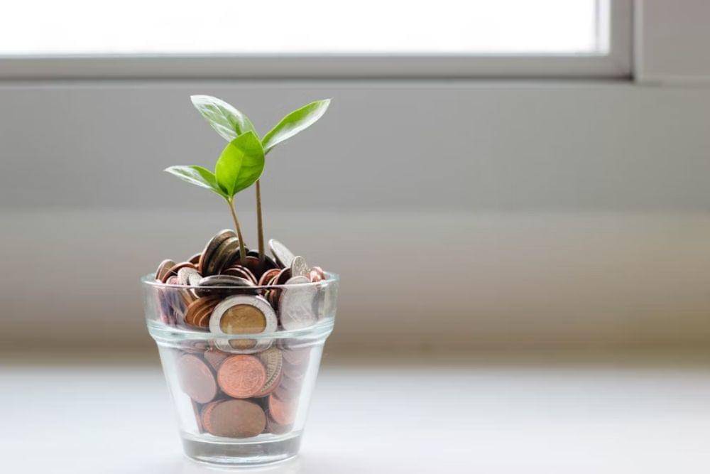 Apa itu Investasi Hijau