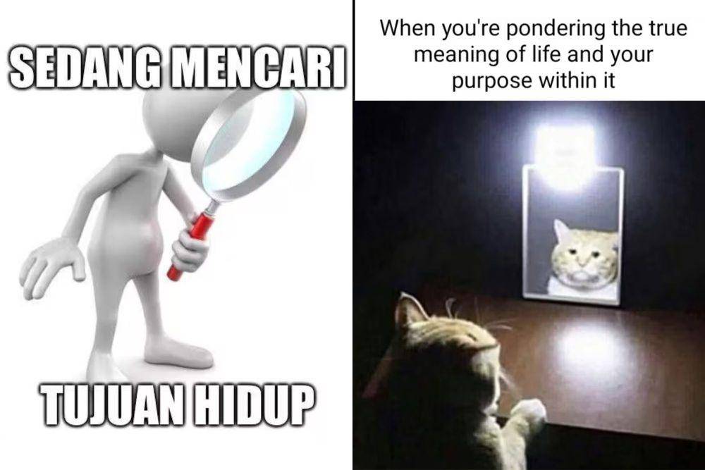 kolase meme arti dan tujuan hidup (x.com/alpokatmentega I reddit.com/deleted)
