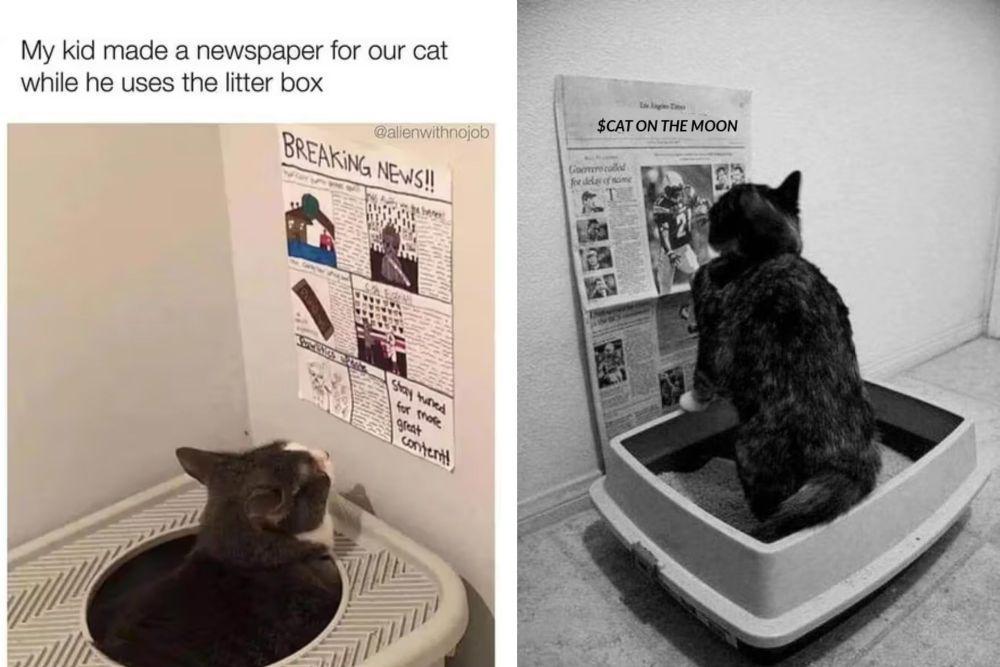 9 Foto Lucu Kucing Baca Koran, Melek Berita Terkini!