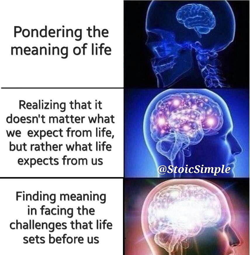 meme arti dan tujuan hidup (reddit.com/johngrady77)