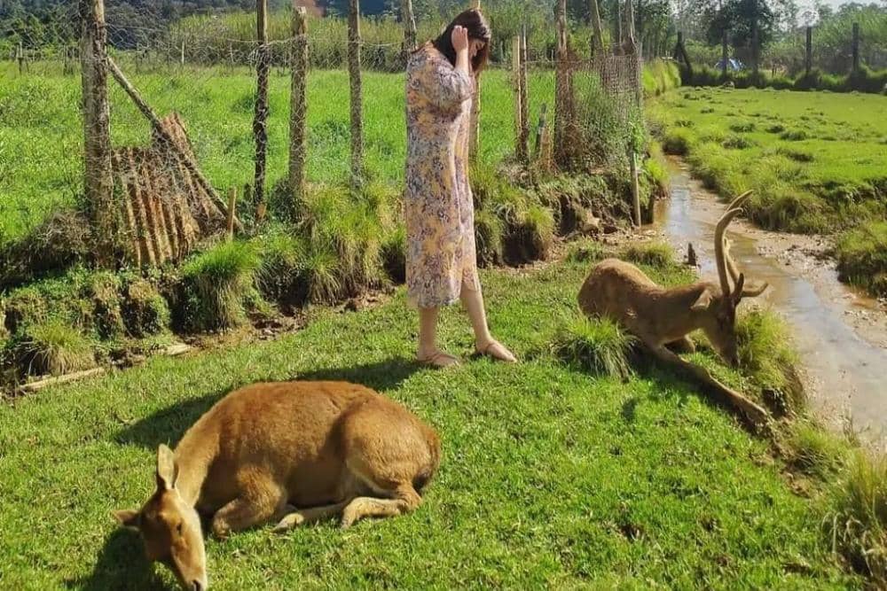 instagram.com/explorerancaupas