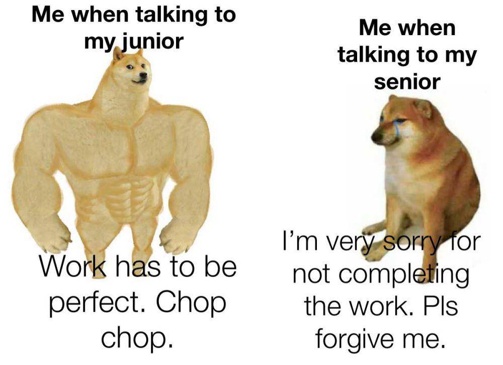 meme senior di tempat kerja (reddit.com/Buffvamporigfan)
