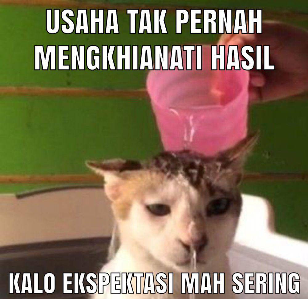 meme kecewa gegara ekspektasi (x.com/ainunrozi)