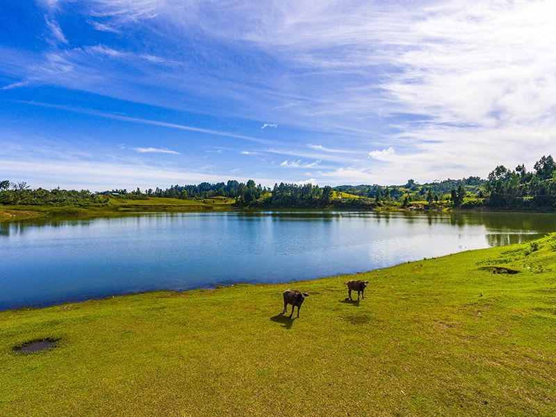 Pemandangan Desa Huta Tinggi, di kawasan Danau Toba. (ggogle.com/calderatobageopark.org)