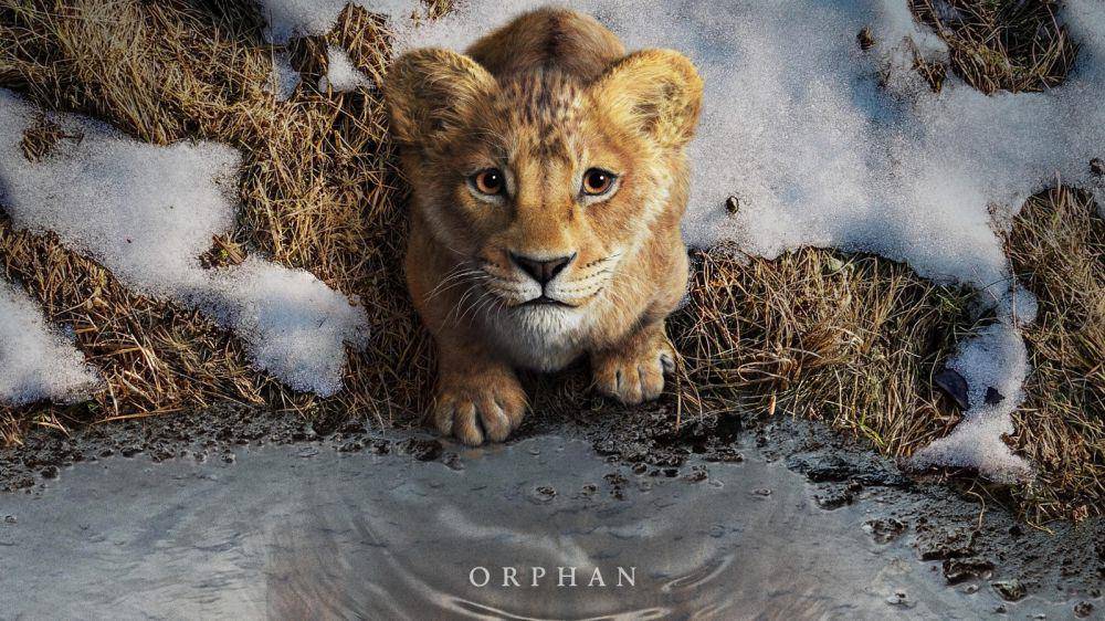 Poster film Mufasa: The Lion King (dok. Disney/Mufasa: The Lion King)