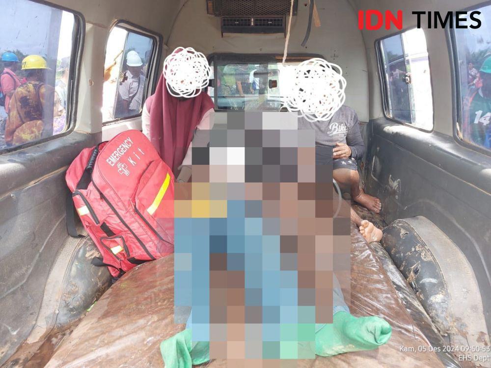Ibu Rumah Tangga di Ketapang Tewas Diterkam Buaya di Perkebunan Sawit