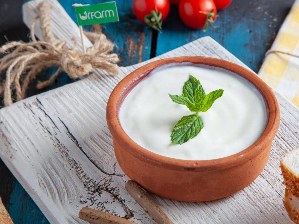 7 Manfaat Yogurt untuk Kesehatan, Imunitas Hingga Jantung