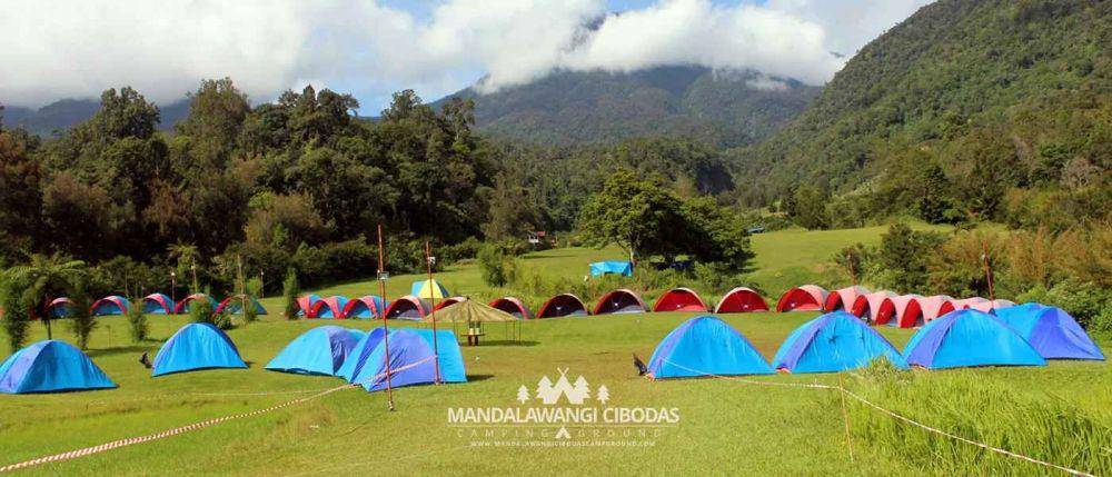 Bumi Perkemahan Mandalawangi Cibodas (https://mandalawangicibodascampground.com/)