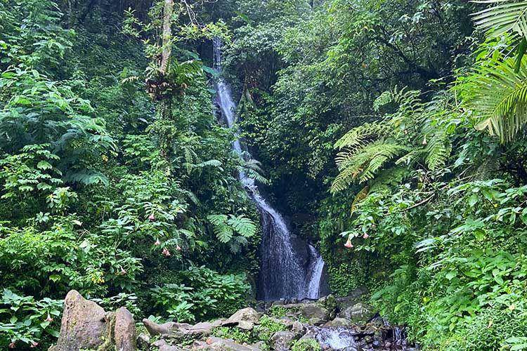 Sungai Cibogo (https://kebunraya.id)