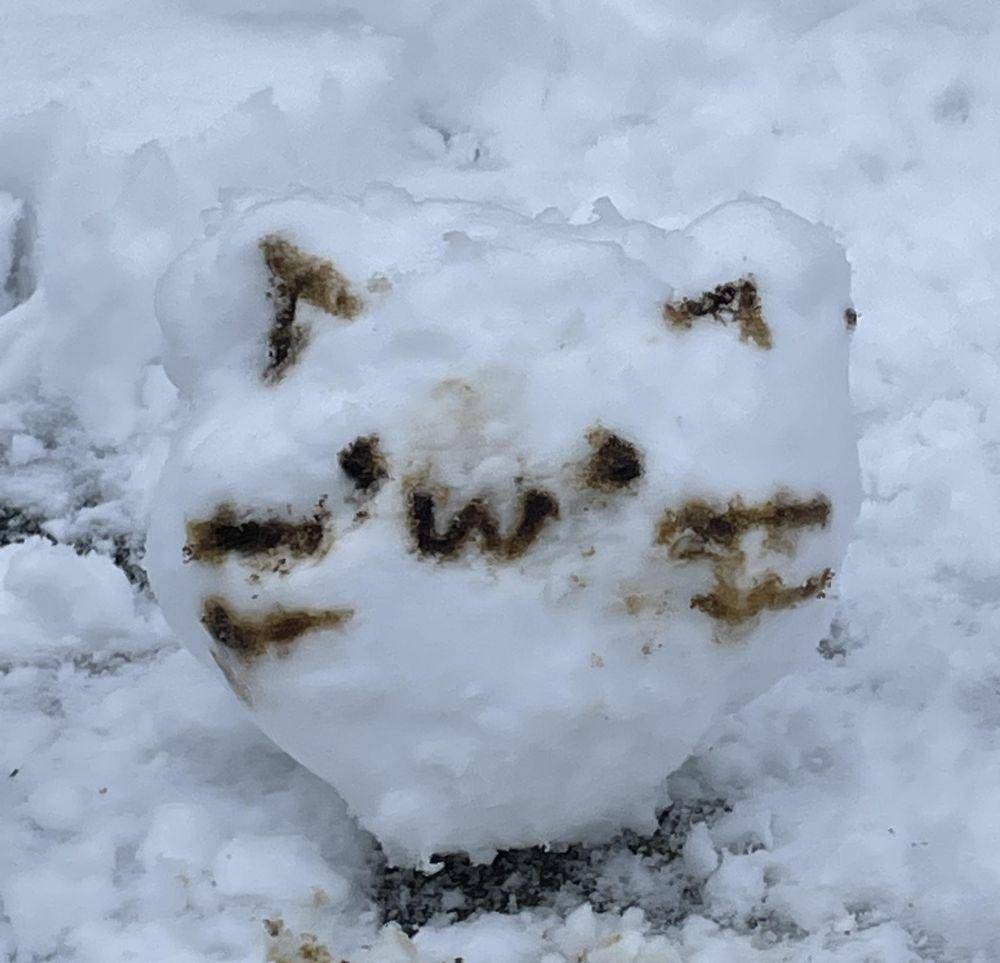 foto boneka salju kucing (reddit.com/tammythegiraffe)