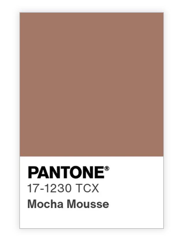 Mocha Mousse, sebagai Pantone Color of The Year 2025 (pantone.com)