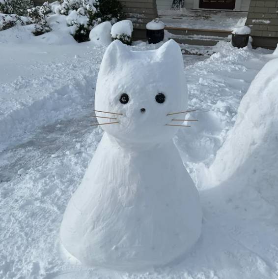 foto boneka salju kucing (reddit.com/boba_queen)
