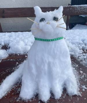 foto boneka salju kucing (reddit.com/monaleecat)