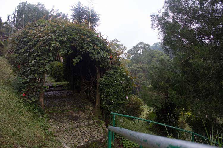 Taman Rhododendron (https://kebunraya.id/)